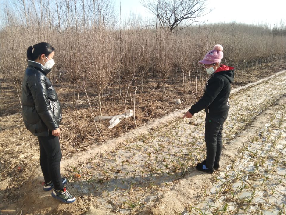 太阳集团8722c